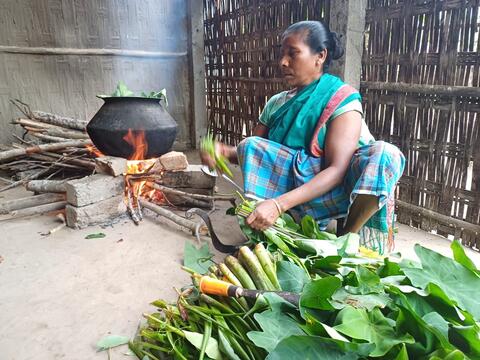 Cooking