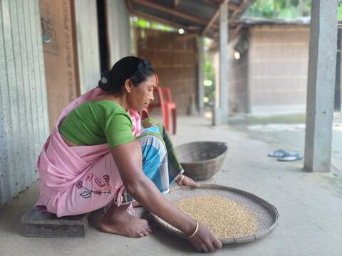 cleaning the paddy